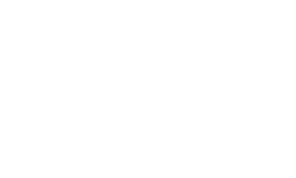 ZF Partnerwerkstatt
